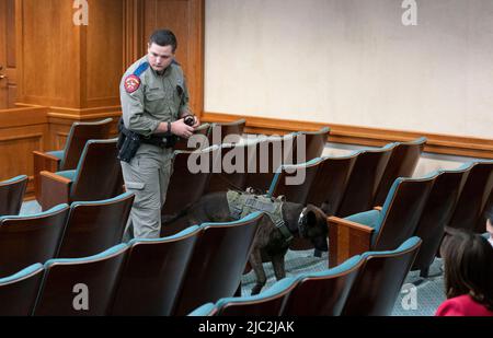 Austin, TX, USA. 9.. Juni 2022. Ein Beamter des texanischen Dept. Of Public Safety führt eine Routineprüfung mit einem bombenschnüffenden Hund durch, während das Texas House den Untersuchungsausschuss für die Robb Elementary Shooting ernennt, der am 9. Juni 2022 in einer Exekutivsitzung Zeugnis ablegen soll. (Bild: © Bob Daemmrich/ZUMA Press Wire) Stockfoto