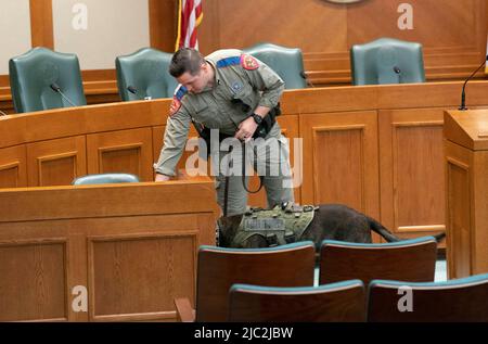 Austin, TX, USA. 9.. Juni 2022. Ein Beamter des texanischen Dept. Of Public Safety führt eine Routineprüfung mit einem bombenschnüffenden Hund durch, während das Texas House den Untersuchungsausschuss für die Robb Elementary Shooting ernennt, der am 9. Juni 2022 in einer Exekutivsitzung Zeugnis ablegen soll. (Bild: © Bob Daemmrich/ZUMA Press Wire) Stockfoto