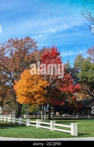 Der wunderschöne Herbst hinterlässt einen weißen Ziegel- und Holzzaun und ein Haus im Ranchstil mit grünem Gras und einem wunderschönen blauen Himmel Stockfoto