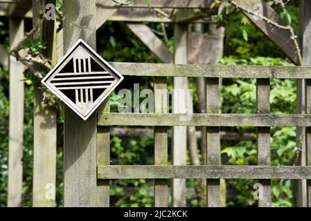 Insektenverstecke Stockfoto