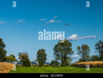 Ein grünes Bauernfeld mit Maisfeldern auf beiden Seiten, einer Baumreihe im Hintergrund und einem Flugzeug in einem großen blauen Himmel, Sommer, Pennsylvania Stockfoto