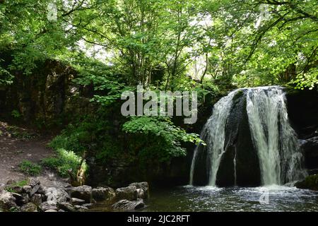 Malham, Janet's Foss, Yorkshire Dales Stockfoto