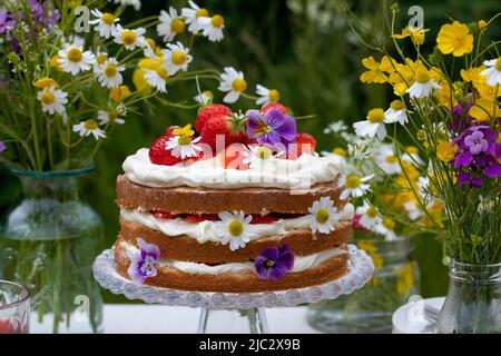 Skandinavische Erdbeer- und Sahnetorte im Hochsommer Stockfoto