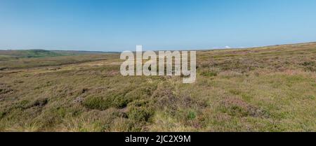 Allgemeiner Panoramablick auf Moorsland im North York Moors National Park, North Yorkshire, Großbritannien. Stockfoto