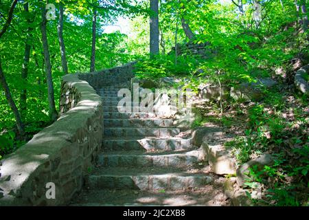 Steintreppen an einem Naturlehrpfad entlang eines Hügels bei Hemlock Falls im South Mountain Reservation, Essex County, New Jersey -04 Stockfoto
