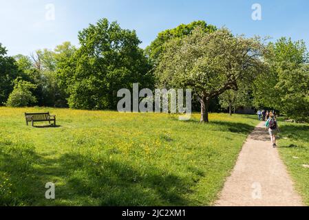 Uccle, Region Brüssel-Hauptstadt - Belgien - 05 17 2020 Frau, die im Stadtpark Fond'Roy auf einem Pedstrian-Pfad geht Stockfoto