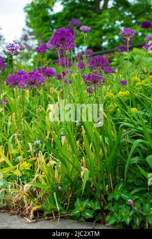 Royal Botanical Gardens Hendrie Park in Burlington, Ontario, Kanada Stockfoto