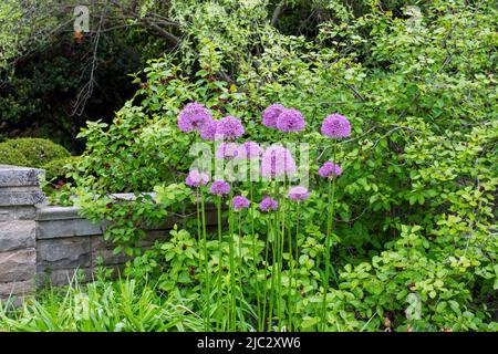 Royal Botanical Gardens Hendrie Park in Burlington, Ontario, Kanada Stockfoto