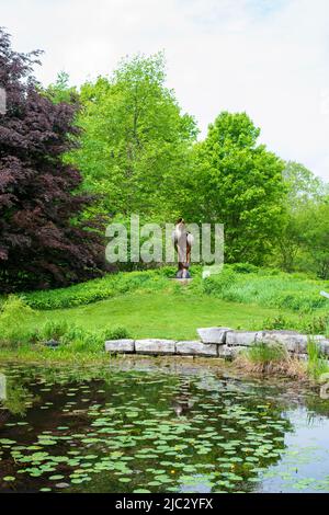 Royal Botanical Gardens Hendrie Park in Burlington, Ontario, Kanada Stockfoto