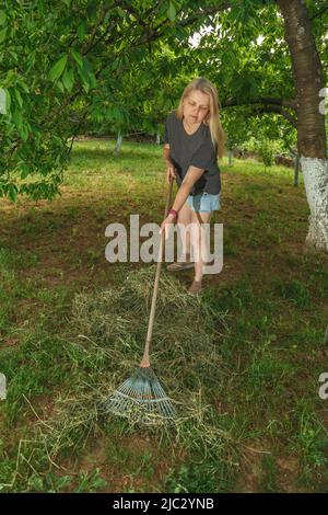 Mädchen sammelt trockenes Gras mit Gartenrechen Stockfoto