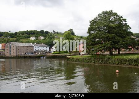 TOTNES, Großbritannien - 26. JUNI 2021 Wohngebäude und ein Park am River Dart Stockfoto