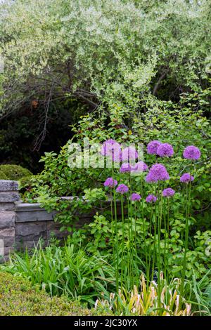 Royal Botanical Gardens Hendrie Park in Burlington, Ontario, Kanada Stockfoto