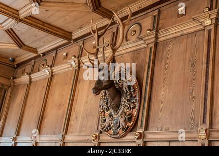 Rottweil, Deutschland. 09.. Juni 2022. Im Alten Rathaus hängt eine Hirschtrophäe. Kredit: Silas Stein/dpa/Alamy Live Nachrichten Stockfoto