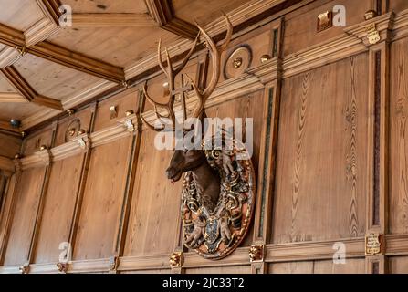 Rottweil, Deutschland. 09.. Juni 2022. Im Alten Rathaus hängt eine Hirschtrophäe. Kredit: Silas Stein/dpa/Alamy Live Nachrichten Stockfoto