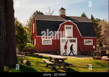 Besucher, die vor einer roten Scheune auf dem Long Hill Sedgwick Anwesen spazieren. Bild, das auf einem analogen Film aufgenommen wurde. Beverly, Massachusetts Stockfoto