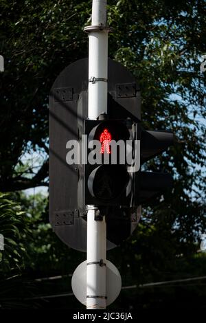 Rote Ampel für Fußgänger Stockfoto