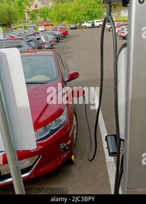 In Ashland, Oregon, bietet das Hotel Ashland Springs vier Ladestationen für Elektrofahrzeuge. Symbol auf dem Parkplatz, der für Elektroautos reserviert ist (Chevrolet Volt Seen Charging) Stockfoto