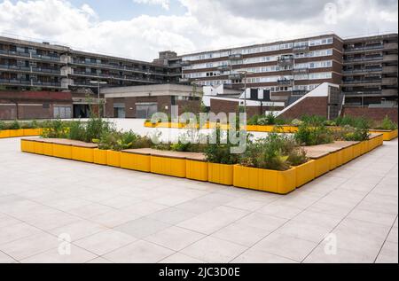 Bedingfield House, Ashcroft Square, Livat Hammersmith, King Street, Hammersmith, London, W6, England, Großbritannien Stockfoto