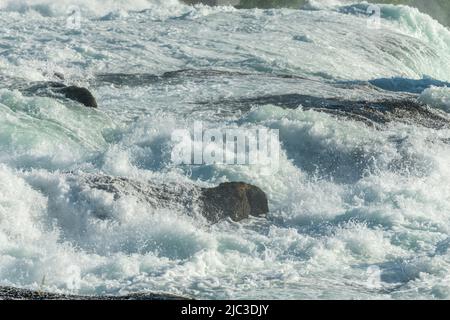 Schnelle Strömungen in Rheinfällen im Frühjahr. Neuhausen am Reinfall. Schaffhausen, Schweiz. Stockfoto