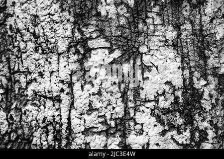 Textur und Hintergrund von Metallic-Farbe. Natürlich strukturierter und ungleichmäßiger Polystyrol-Hintergrund mit weißen Flecken. Stockfoto