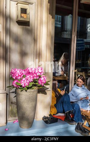 Moskau, Russland - im Juni 2022 hat der immergrüne Rhododendron-Hybrid Haaga seine leuchtend rosa Blüten im Steintopf vollständig geöffnet. Die Leute sitzen auf t Stockfoto