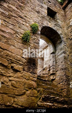 Mittelalterliche Bogentreppe in den Ruinen der Cong Abbey in Cong, Irland. Stockfoto