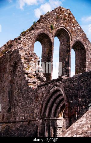 Romanischer Bogeneingang und lanzettierte Kirchenfenster der Ruinen der Cong Abbey in Cong, Irland. Stockfoto