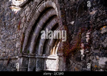 Romanischer Bogen in den Ruinen der Cong Abbey in Cong, Irland. Stockfoto