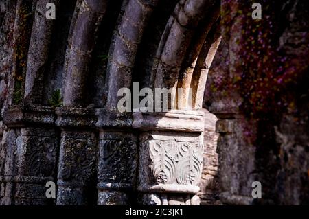 Romanischer Eingang zu den Ruinen der Cong Abbey in Cong, Irland. Stockfoto