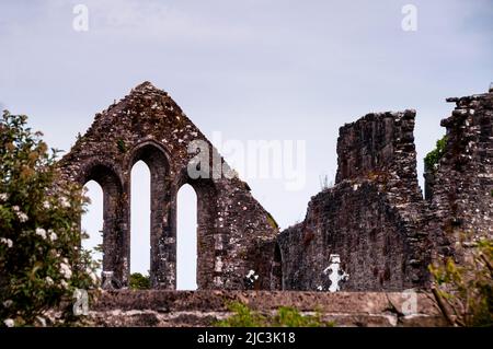 Lancet Fensterruinen in der Cong Abbey in Cong, Irland. Stockfoto