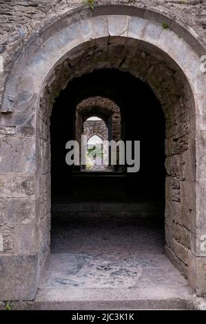 Bogenförmige und spitze Eingänge in der Cong Abbey in Cong, Irland. Stockfoto