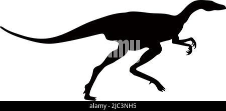 Dinosaurier der Jurassic Periode. Silhouetten verschiedener Dinosaurier. Vektordinosaurier. Stock Vektor