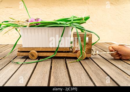 Junge ziehen Spielzeug LKW aus recycelten Materialien Transport frisch gepflückten Knoblauch auf Holz Tisch Hintergrund Stockfoto