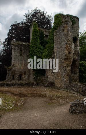 Bishop's Waltham - Palace Ruins, Hampshire, England, Vereinigtes Königreich Stockfoto