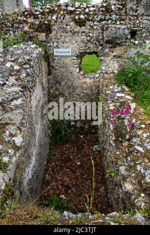 Bishop's Waltham - Palace Ruins, Hampshire, England, Vereinigtes Königreich Stockfoto