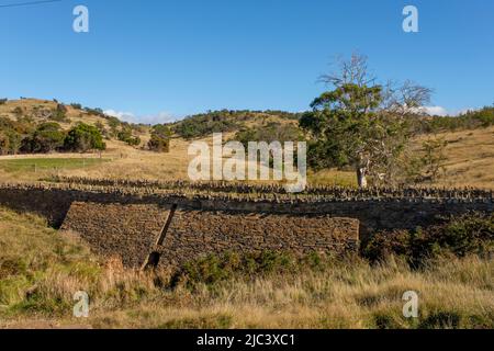 Spiky Bridge Stockfoto