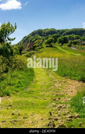 Der South West Coast Path bei Jacobs Ladder, Sidmouth, East Devon, England Stockfoto