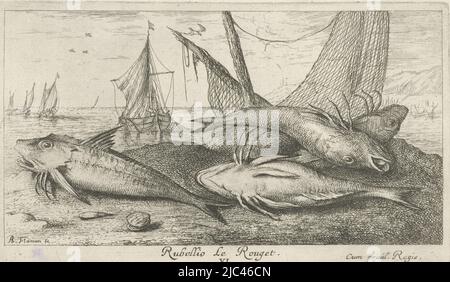 Vier rote Meeräschen am Strand Rubellio Le Rouget. (Titel auf Objekt) Fische und andere Meerestiere - Salzwasser zweite Serie (Serientitel) Poissons de mer (Serientitel), Druckerei: Albert Flamen, (auf Objekt erwähnt), Albert Flamen, Verlag: Jacques van Merlen, Druckerei: Paris, Paris, Verlag: Paris, Frankreich, 1664, Papier, Radierung, H 103 mm × B 177 mm Stockfoto