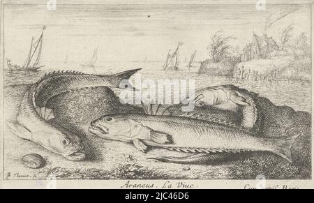 Drei gefleckte Quietscher am Strand Araneus. La Viue. (Titel auf Objekt) Fische und andere Meerestiere - Salzwasser zweite Serie (Serientitel) Poissons de mer (Serientitel), Druckerei: Albert Flamen, (auf Objekt erwähnt), Albert Flamen, Verlag: Jacques van Merlen, Druckerei: Paris, Paris, Verlag: Paris, Frankreich, 1664, Papier, Radierung, H 103 mm × B 167 mm Stockfoto