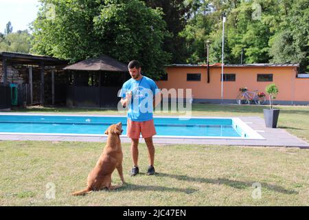 Kleinblittersdorf, Deutschland. 03.. Juni 2022. In einer Tierpension in Kleinblittersdorf spielt einer der Betreiber Björn Wahl mit einem Hund. Die Hunde verlassen zweimal am Tag ihre Zwingertiere. (To dpa: 'Nicht ohne meinen Hund? Was Urlauber beachten sollten') Quelle: Katja Sponholz/dpa/Alamy Live News Stockfoto