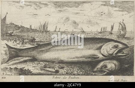 Zwei Lachs am Strand Salmo. Le saulmon (Titel auf Objekt) Fische und andere Meerestiere - Salzwasser erste Serie (Serientitel) Diverses Especes de Poissons de mer (Serientitel), Druckerei: Albert Flamen, (auf Objekt erwähnt), Albert Flamen, Verlag: Jacques van Merlen, Paris, 1664, Papier, Radierung, H 106 mm × B 176 mm Stockfoto