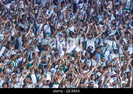 Sao Paulo, Brasilien. 10.. Juni 2022. SP - Sao Paulo - 06/09/2022 - BRASILIANISCHER A 2022, PALMEIRAS X BOTAFOGO - Supporters während eines Spiels zwischen Palmeiras und Botafogo im Arena Allianz Parque Stadion für die brasilianische Meisterschaft A 2022. Foto: Marcello Zambrana/AGIF/Sipa USA Quelle: SIPA USA/Alamy Live News Stockfoto