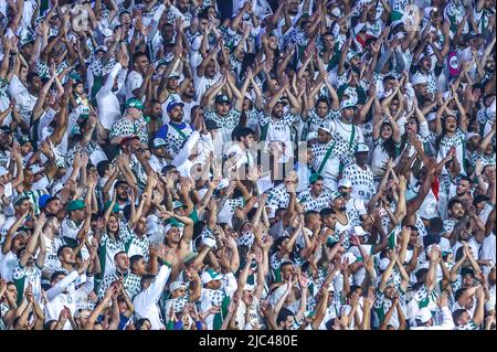 Sao Paulo, Brasilien. 10.. Juni 2022. SP - Sao Paulo - 06/09/2022 - BRASILIANISCHER A 2022, PALMEIRAS X BOTAFOGO - Supporters während eines Spiels zwischen Palmeiras und Botafogo im Arena Allianz Parque Stadion für die brasilianische Meisterschaft A 2022. Foto: Marcello Zambrana/AGIF/Sipa USA Quelle: SIPA USA/Alamy Live News Stockfoto