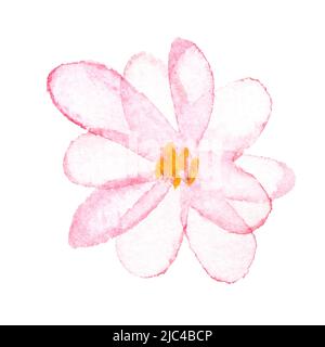 Blühender Aquarell rosa Baum. Blühende Frühlingsblume. Wunderschöne Sommerdarstellung. Handzeichnung skizzieren. Japanische Aquarellkarte. Set mit Sakura-Designelementen. Isolierter weißer Hintergrund Stockfoto
