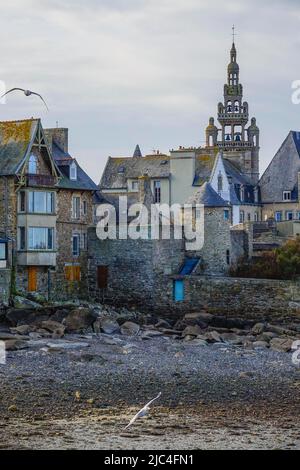 Altstadt von Roscoff mit Kirche Notre-Dame-de-Croaz-Batz bei Ebbe, Departement Finistere Penn ar Bed, Region Bretagne Breizh, Frankreich Stockfoto