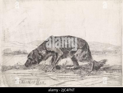 Trackinghund, Druckerei: Elias stark, (auf Objekt erwähnt), Nieuwer-Amstel, 18-Mar-1888, Papier, Ätzung, H 98 mm × B 130 mm Stockfoto