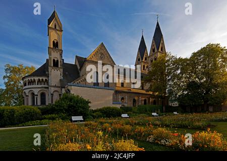 Blumenhof und Basilika St. Kastor, auch Kastorkirche genannt, Altstadt, Koblenz, Rheinland-Pfalz, Deutschland Stockfoto