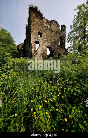 Burgruine auf Schloss Sayn, Bendorf, Kreis Mayen-Koblenz, Rheinland-Pfalz, Deutschland Stockfoto