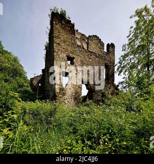 Burgruine auf Schloss Sayn, Bendorf, Kreis Mayen-Koblenz, Rheinland-Pfalz, Deutschland Stockfoto