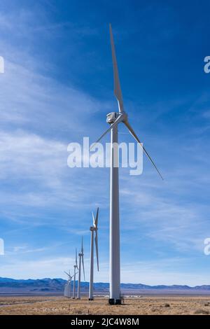 Zwei Quellen erneuerbarer Energie - Wind und Biogas - der Milford Windpark und die Smithfield Schweinesteusen, die Biogas aus Schweinegüll produzieren. Stockfoto